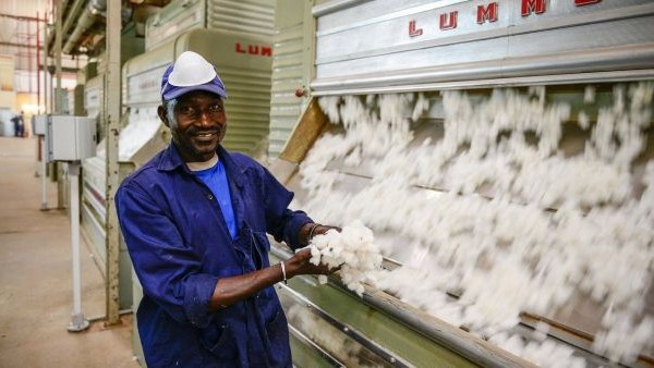 Quality cotton from Benin