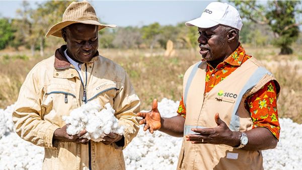 High-quality cotton from Côte d'Ivoire