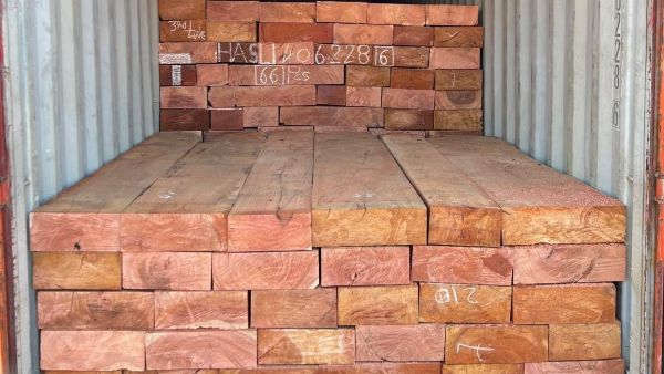 Timber stacked in a shipping container