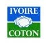 Ivoire Cotton