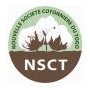 NSCT